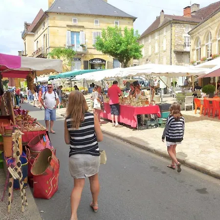 Holiday home Rue Bertrand De Got Saint-Cyprien (Dordogne)